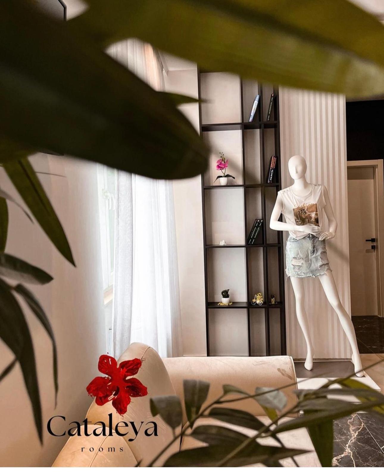 Hotel Cataleya Šabac エクステリア 写真