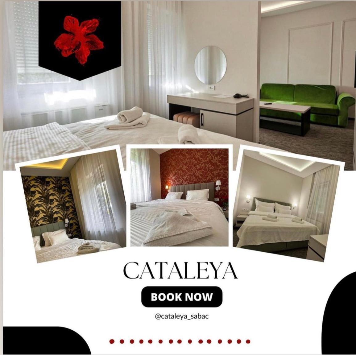 Hotel Cataleya Šabac エクステリア 写真